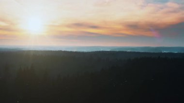 Gün doğumunda ya da gün batımında havadan güzel bir bahar ormanı. Panorama manzaralı tepe bölgesi, sabah güneşiyle aydınlatılmış ormanlık alan, güneş ışınları. İnsansız hava aracı ağaç tepelerinde uçuyor. Renkli manzara