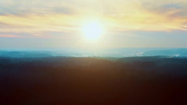 Foresta invernale pittoresca aerea all'alba o al tramonto. Vista dall'alto zona collinare, bosco illuminato con luce solare mattutina, raggi di sole. Drone che sorvola le cime degli alberi di pino. Vista meravigliosa, paesaggio colorato — Video Stock