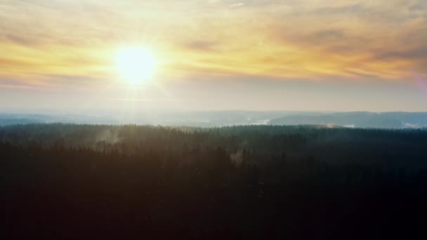 Luftbildschöner Winterwald bei Sonnenaufgang oder Sonnenuntergang. Von oben gesehen hügelige Gegend, Vorfrühling, Wald beleuchtet mit Morgensonne, Sonnenstrahlen. Drohne fliegt über Baumwipfel. Bunte Landschaft — Stockvideo
