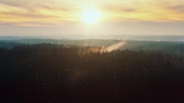 Εναέρια όμορφο δάσος άνοιξη στην ανατολή ή το ηλιοβασίλεμα φως. Πάνω άποψη λοφώδες περιοχή, δασικές εκτάσεις φωτισμένες με ζεστό φως του ήλιου, φωτεινές ακτίνες του ήλιου. Κηφήνας που πετάει πάνω από κορυφές δέντρων. Καταπληκτική πολύχρωμη κινηματογραφική άποψη τοπίου — Αρχείο Βίντεο