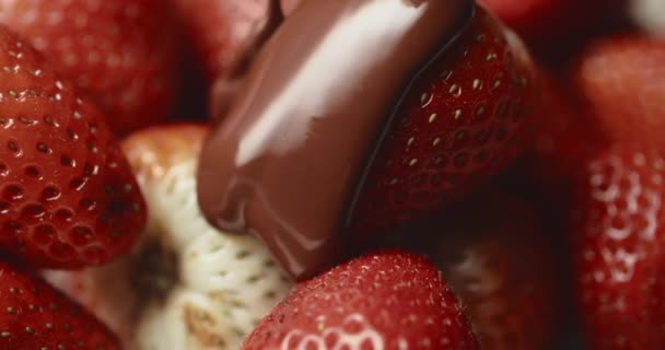 Primer plano macro fresas frescas que cubren con chocolate líquido derretido. Chocolate fundido o torrente de caramelo marrón que vierte en jugosas bayas rojas. Dulces, sabroso postre. Cocinar dulces hechos a mano — Vídeo de stock