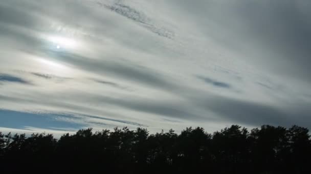 太陽の時間の経過は、青い空に雲の中を高速で森の木々の風に揺れるのシルエットの上に移動輝きます。タイムラプス自然の風景、動きの美しい空。曇った夏の日 — ストック動画