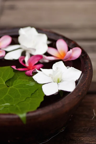 Flowers in wood bowl for SPA — Stock Photo, Image