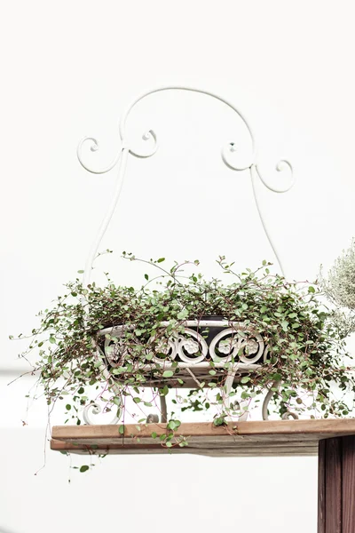 Zelené letní květiny v kovové květnaté kované váza na stolici — Stock fotografie