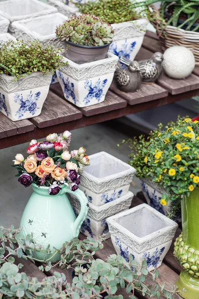 Bel arrangement de plantes et de céramiques noires et blanches — Photo