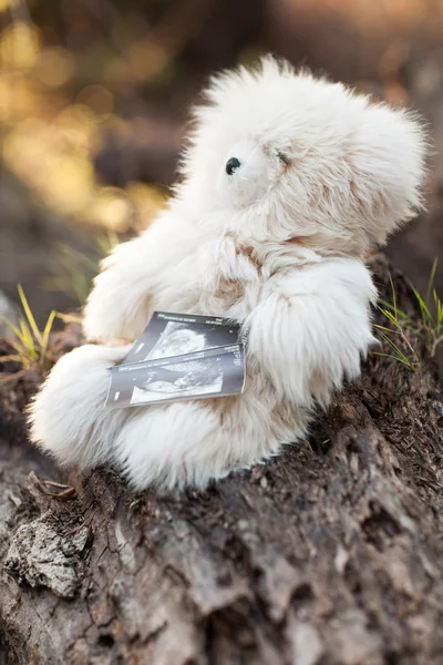 Photo of an ultrasound sonogram of an unborn baby near teddy bea — Stock Photo, Image