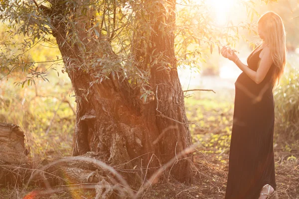 Schwangere mit langen blonden Haaren posiert im sonnigen Park. jung — Stockfoto