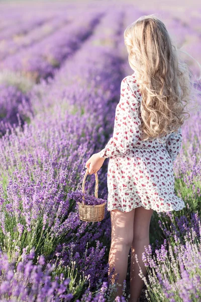 Hermosa niña rubia en el campo de lavanda — Foto de Stock