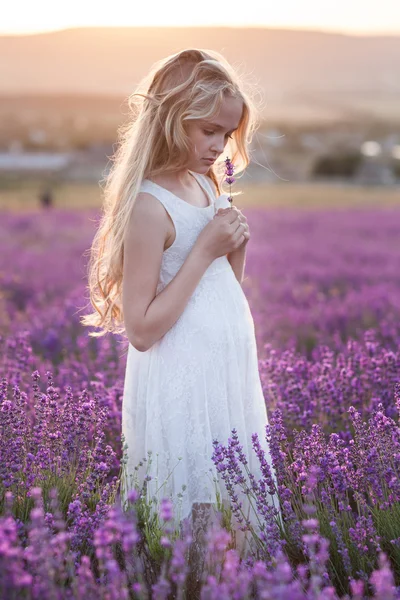 Krásná malá blondýnka na poli levandule — Stock fotografie