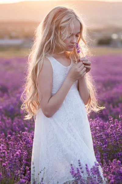 Όμορφο μικρό ξανθό κορίτσι με το πεδίο λεβάντα — Φωτογραφία Αρχείου