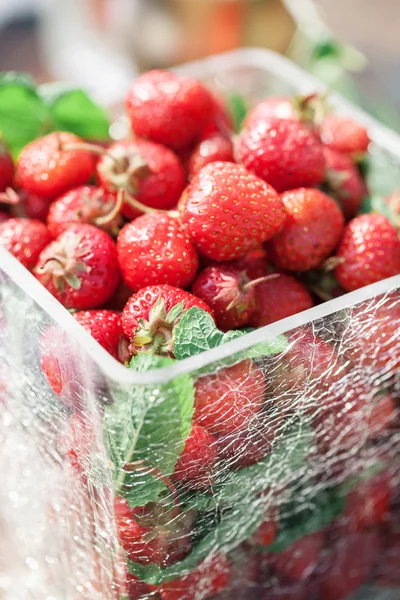 Beri dalam mangkuk di meja kayu di taman, buah-buahan, ceri, raspberry, stroberi dan blueberry — Stok Foto