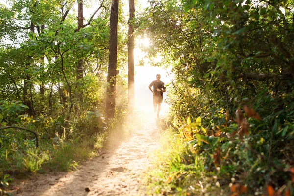 Male athlete runner running on road in forest — Stock Photo, Image