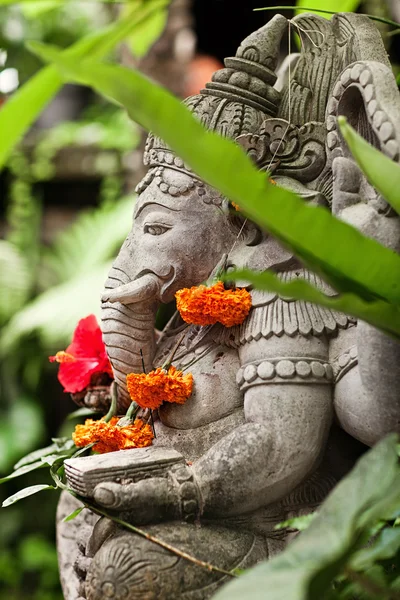 Estatua de Ganesh sobre hojas exóticas verdes —  Fotos de Stock