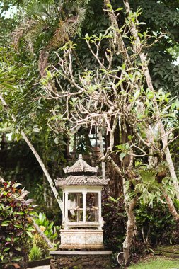 Eski vintage kafeslerde küçük kuşlar