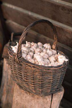Vintage natürmort sarımsak ve sepeti