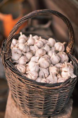 Vintage natürmort sarımsak ve sepeti