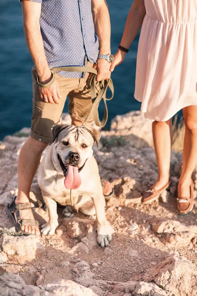 Пара парней, играющих со своей собакой на горе возле океана. Романтическое время на природе с прекрасным видом . — стоковое фото
