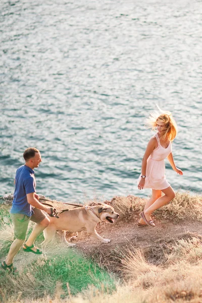 几个家伙在山顶附近的海洋上玩他们的狗。浪漫的时刻，在自然与美丽的景色. — 图库照片