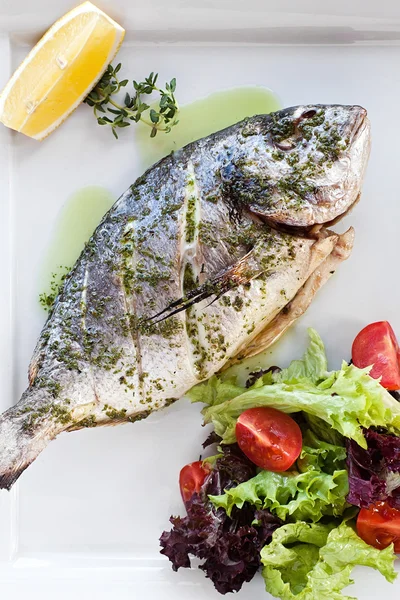 Grilled dorado with salad leaves and tomato — Stock Photo, Image