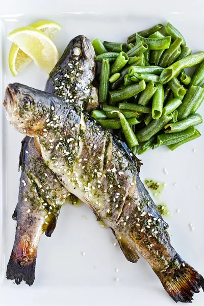 Baked sea bass with vegetables close up — Stock Photo, Image