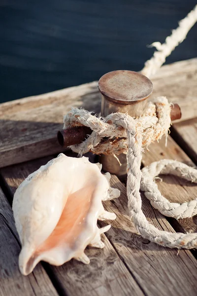 Rope with shell — Stock Photo, Image