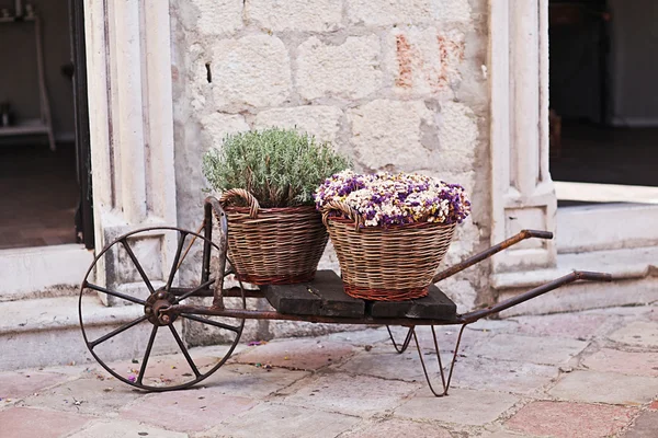 Vintage wagon with basket with lavender flowers near the old wall — Stock Photo, Image