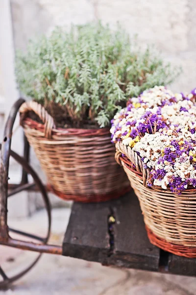 Vintage wagen met mand met lavendel in de buurt van de oude muur — Stockfoto