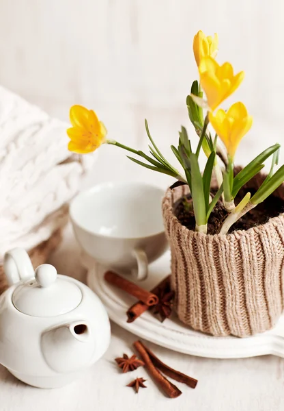 Cup of hot drink, knitting clothes, cinnamon and flowers. winter mood — Stock Photo, Image