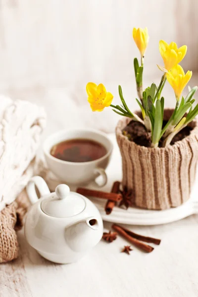 Bir fincan sıcak içecek, örgü elbiseler, tarçın ve çiçekler. Kış ruh hali — Stok fotoğraf