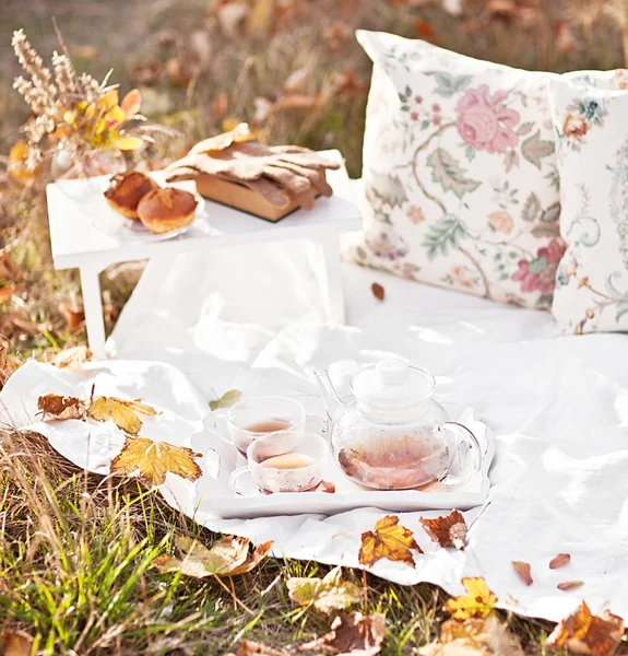 Cozy autumn picnic in the park with tea and pillow — Stock Photo, Image