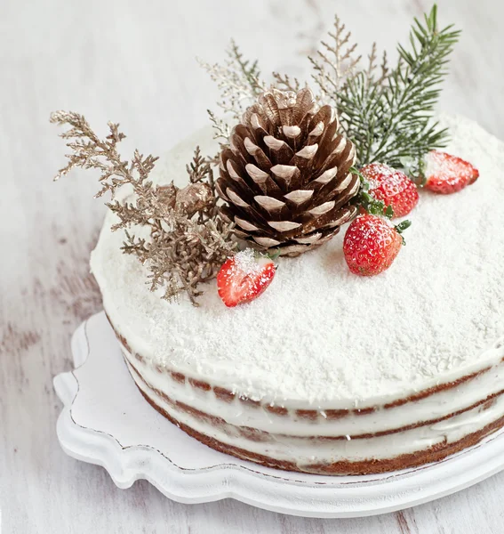 Serie von Winter-Kokosnusskuchen. Dekorieren mit Erdbeere, Kokosnuss und Waldkegel — Stockfoto