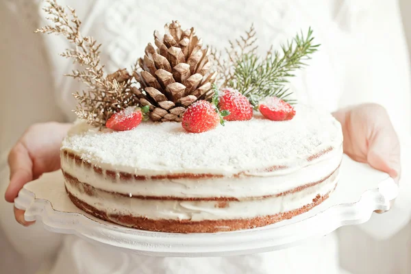 Série zimních vánočními kokosový dort. Zdobí se jahoda, kokos a lesní kužel — Stock fotografie