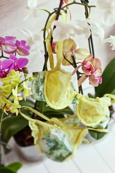 Green lingerie with orchids. Spring mood. — Stock Photo, Image