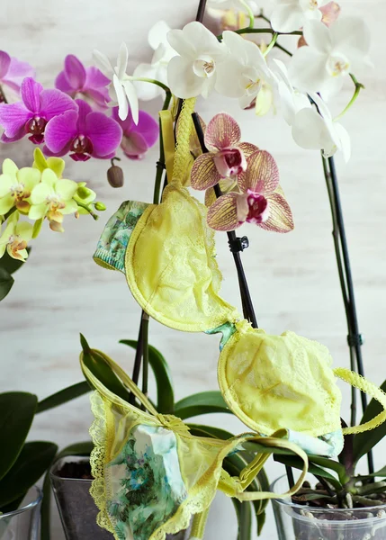 Lingerie verte aux orchidées. Humeur printanière . — Photo