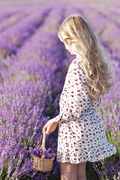 Krásné smal blonďatá dívka na poli levandule — Stock fotografie