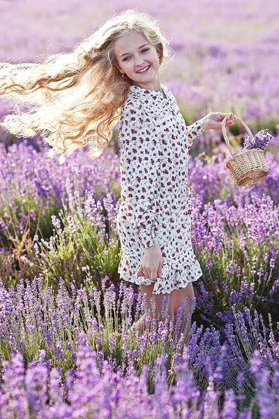 Bella ragazza bionda smal sul campo di lavanda — Foto Stock