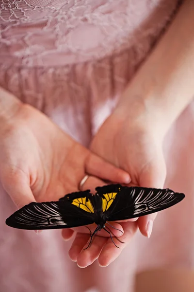 Beautiful exotic butterfly sitting on the girl hand — Stock Photo, Image