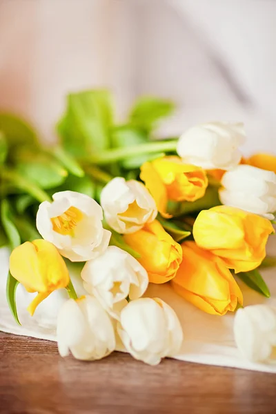 Bouquet of fresh yellow and white tulips — Stock Photo, Image