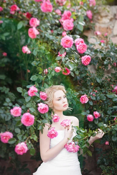 Attractive young bride posing near roses garden — Stock Photo, Image