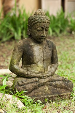 Yeşil yaprakları arka plan üzerinde meditasyon eski Buda heykeli.