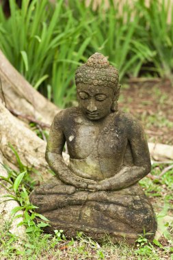 Yeşil yaprakları arka plan üzerinde meditasyon eski Buda heykeli.