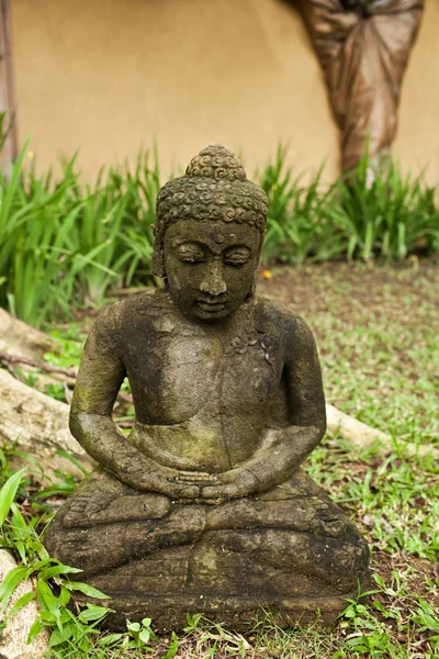 Antigua estatua de Buda meditando sobre el fondo de hojas verdes . —  Fotos de Stock