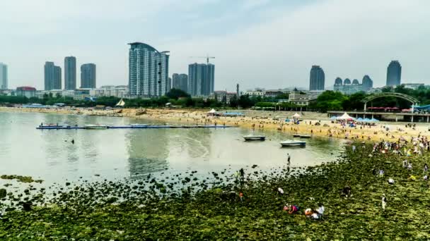 Famoso Parque Xinghai em Dalian, China — Vídeo de Stock