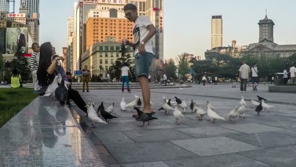 La gente si diverte con i piccioni — Video Stock