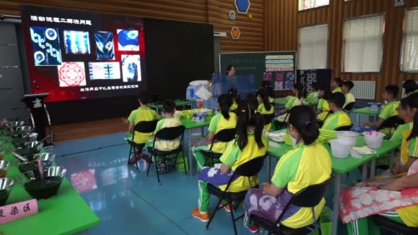 Les élèves vérifient leurs travaux de teinture après l'école — Video