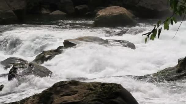 La cascata e il fiume rapido in Guizhou, Cina — Video Stock