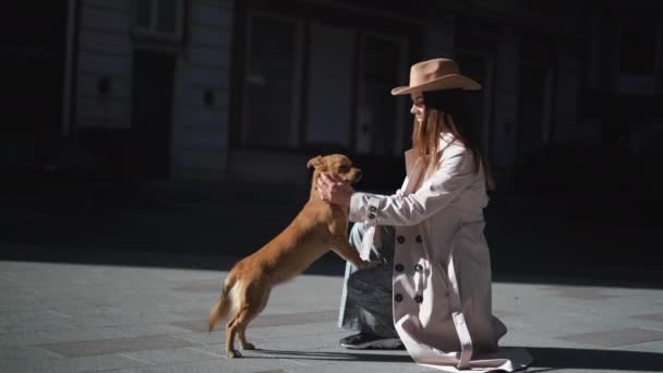Kvinna turist sitter nära en herrelös hund och smeker honom — Stockvideo