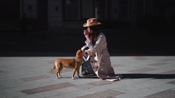 Kvinna turist sitter nära en herrelös hund och smeker honom — Stockvideo