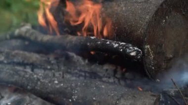 Ateşin hareketi. Turuncu ateş dilleri büküyor. Tahta kütükler alevler içinde. Barbekü için yanan odunlar. Yangın arka planında ahşap. Makro çekim. 