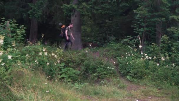 Турист с рюкзаком на плечах выходит из леса и спускается с холма — стоковое видео